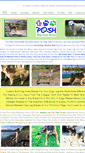 Mobile Screenshot of poshdogkneebrace.com